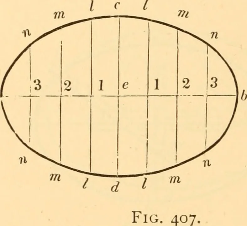 An illustration from The American house carpenter. A treatise on the art of building. Comprising styles of architecture, strength of materials, and the theory and practice of the construction of floors, framed girders, roof trusses, rolled-iron beams, tubular-iron girders, cast-iron girders, stairs, doors, windows, mouldings, and cornices; together with a compend of mathematics. A manual for the practical use of architects, carpenters, stair-builders, and others, 1880, leaf 631