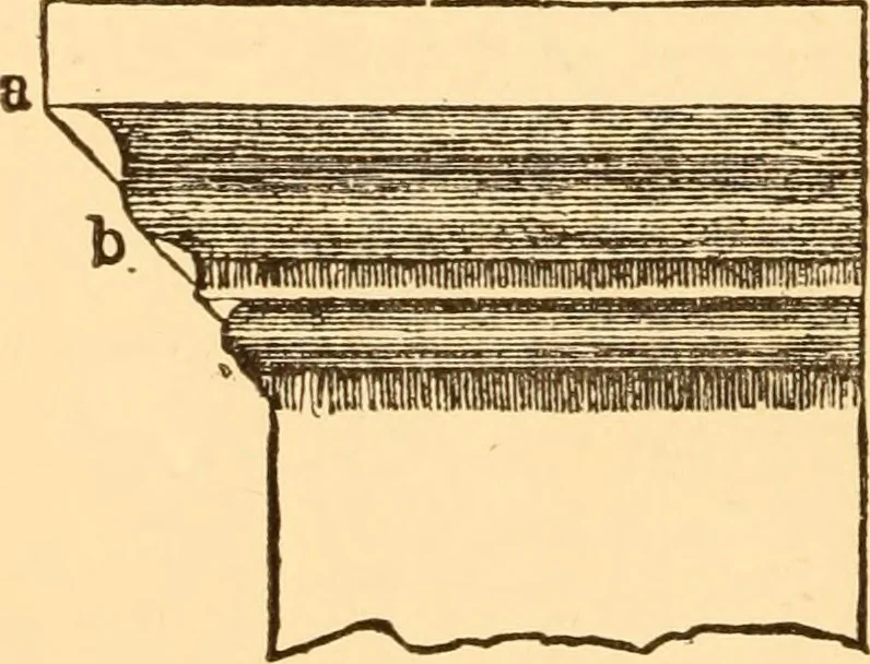 An illustration from The American house carpenter. A treatise on the art of building. Comprising styles of architecture, strength of materials, and the theory and practice of the construction of floors, framed girders, roof trusses, rolled-iron beams, tubular-iron girders, cast-iron girders, stairs, doors, windows, mouldings, and cornices; together with a compend of mathematics. A manual for the practical use of architects, carpenters, stair-builders, and others, 1880, leaf 643