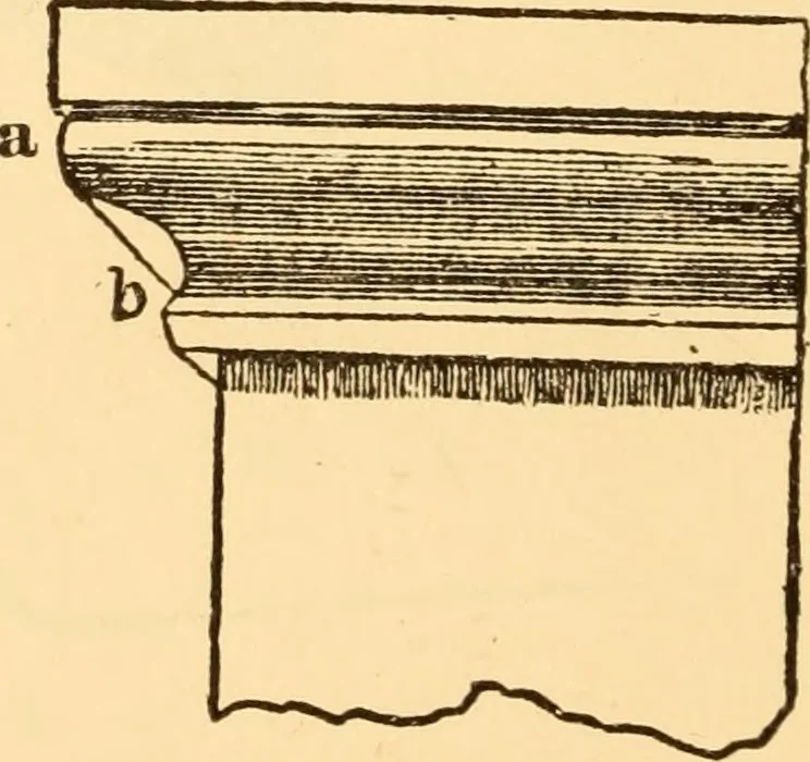 An illustration from The American house carpenter. A treatise on the art of building. Comprising styles of architecture, strength of materials, and the theory and practice of the construction of floors, framed girders, roof trusses, rolled-iron beams, tubular-iron girders, cast-iron girders, stairs, doors, windows, mouldings, and cornices; together with a compend of mathematics. A manual for the practical use of architects, carpenters, stair-builders, and others, 1880, leaf 643