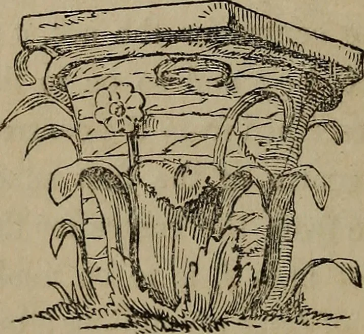 An illustration from The American house-carpenter; a treatise on the art of building, and the strength of materials, 1867, leaf 109