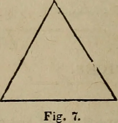 An illustration from The American house-carpenter; a treatise on the art of building, and the strength of materials, 1867, leaf 23