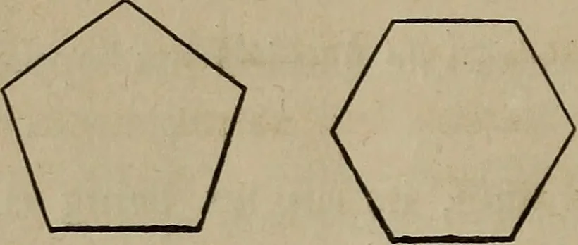 An illustration from The American house-carpenter; a treatise on the art of building, and the strength of materials, 1867, leaf 25