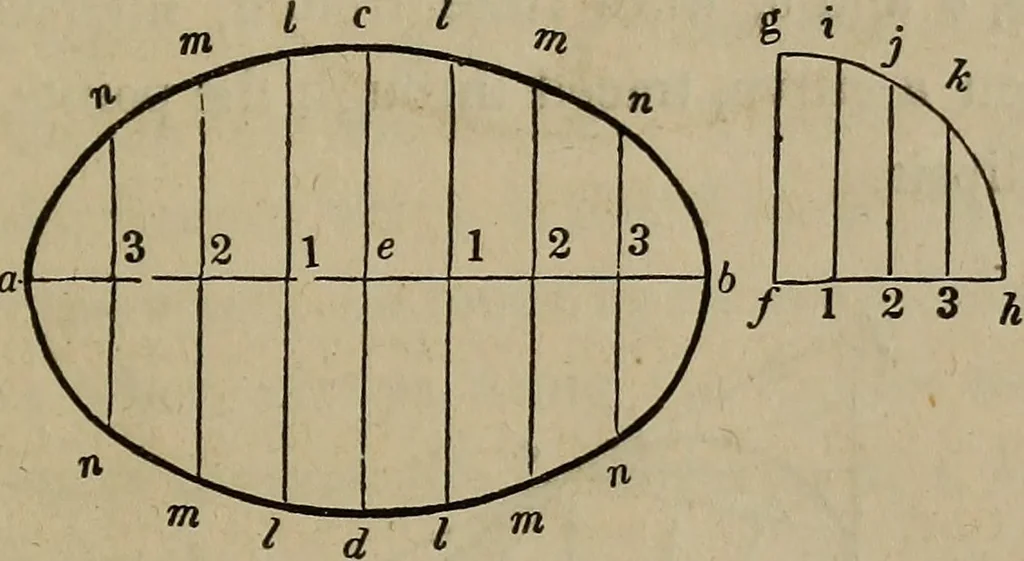 An illustration from The American house-carpenter; a treatise on the art of building, and the strength of materials, 1867, leaf 62