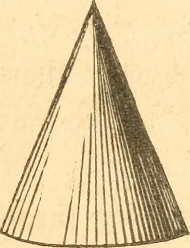 An illustration from The American house carpenter: a treatise upon architecture, cornices and mouldings, framing, doors, windows and stairs. Together with the most important principles of practical geometry, 1852, leaf 30