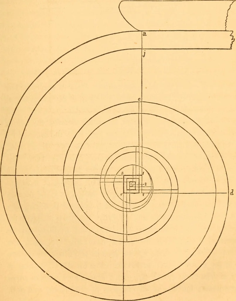 An illustration from The American house carpenter: a treatise upon architecture, cornices and mouldings, framing, doors, windows and stairs. Together with the most important principles of practical geometry, 1852, leaf 96