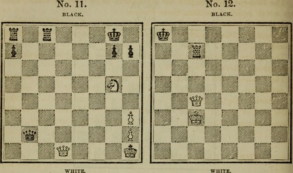 An illustration from The American Hoyle, or, Gentleman's hand-book of games: containing all the games played in the United States, with rules, descriptions, and technicalities, adapted to the American methods of playing, 1864, leaf 265