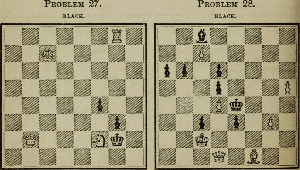 An illustration from The American Hoyle, or, Gentleman's hand-book of games: containing all the games played in the United States, with rules, descriptions, and technicalities, adapted to the American methods of playing, 1864, leaf 317