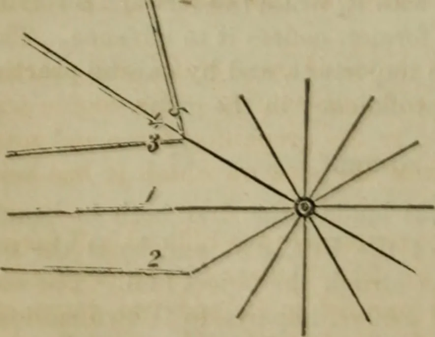 An illustration from The American Hoyle, or, Gentleman's hand-book of games: containing all the games played in the United States, with rules, descriptions, and technicalities, adapted to the American methods of playing, 1864, leaf 413