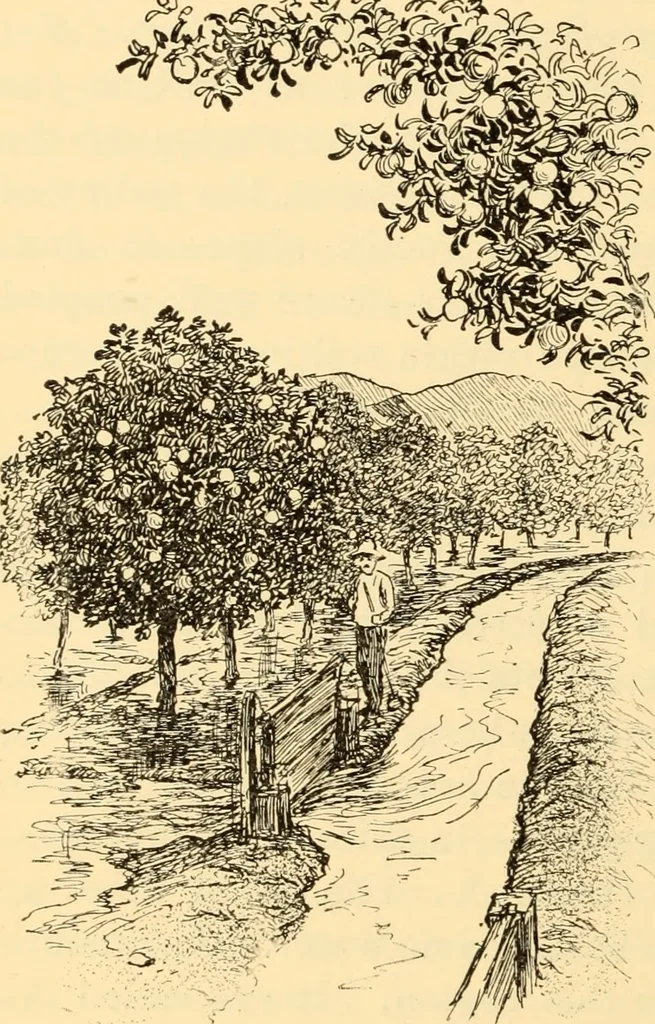 An illustration from American inventions and inventors, 1900, leaf 131