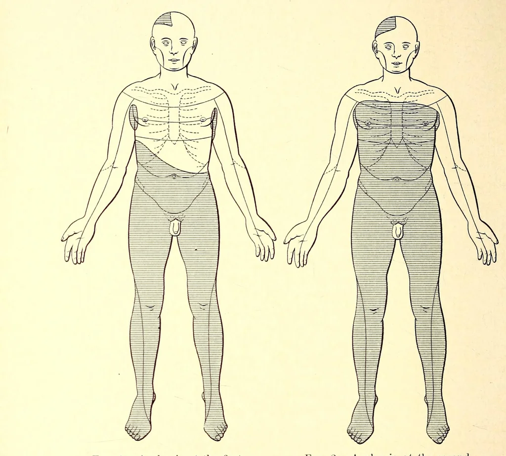 An illustration from The American journal of the medical sciences, 1827, leaf 32