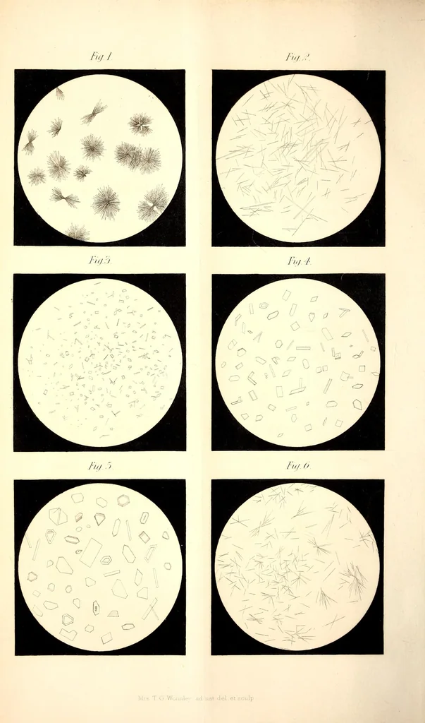 An illustration from American journal of pharmacy, 1835, leaf 12