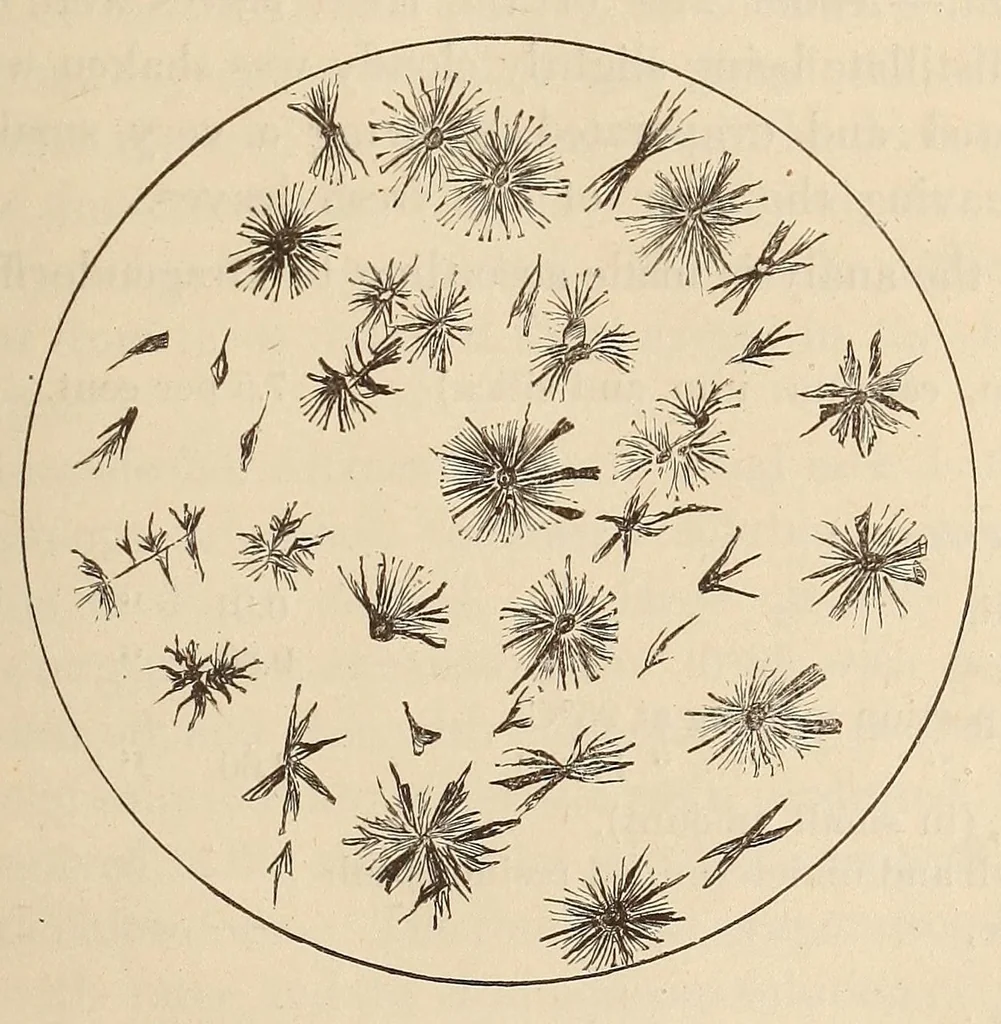 An illustration from American journal of pharmacy, 1835, leaf 83