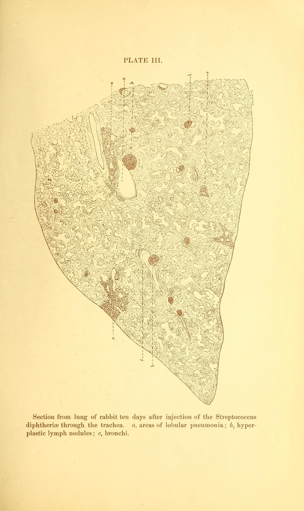 An illustration from The American journal of the medical sciences, 1827, leaf 43
