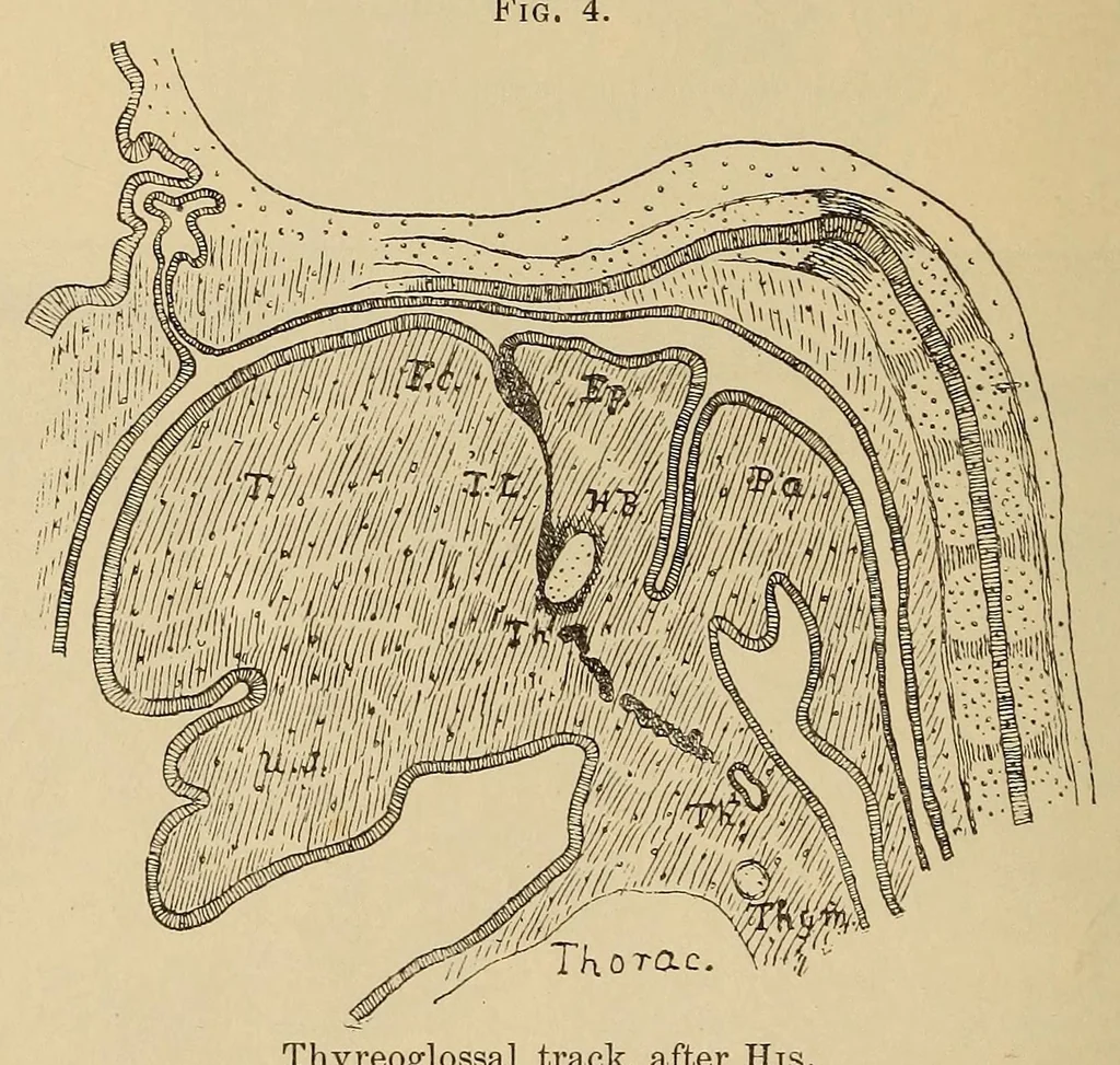 An illustration from The American journal of the medical sciences, 1827, leaf 502