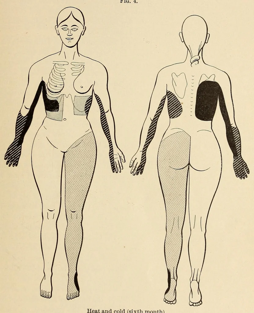 An illustration from The American journal of the medical sciences, 1827, leaf 893