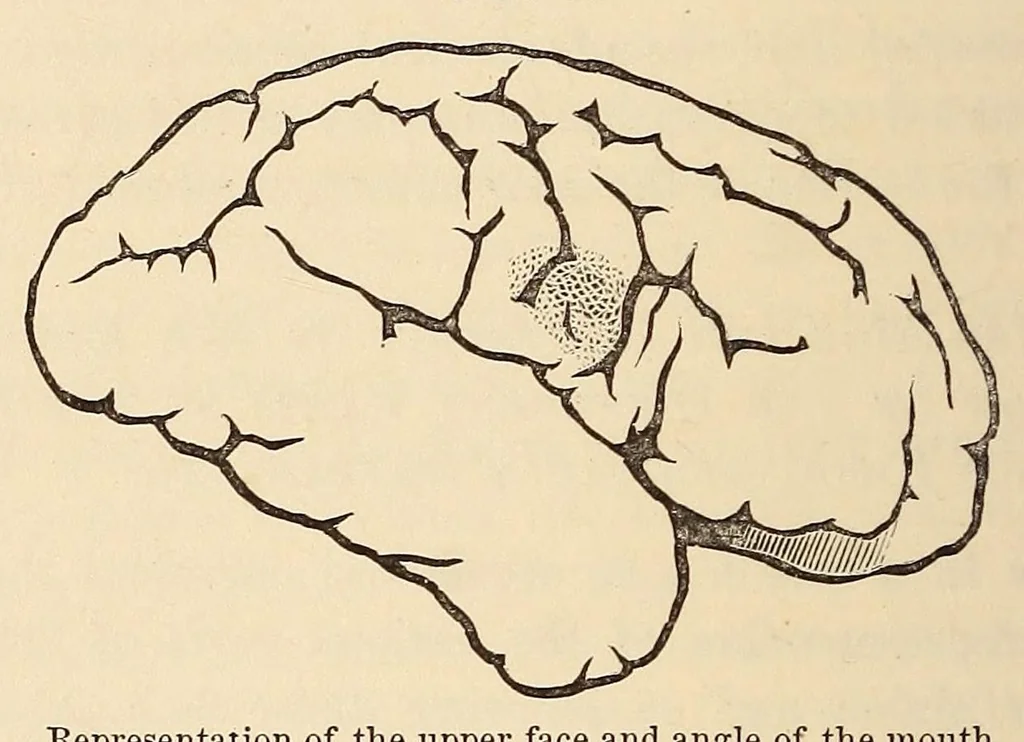 An illustration from The American journal of the medical sciences, 1827, leaf 418