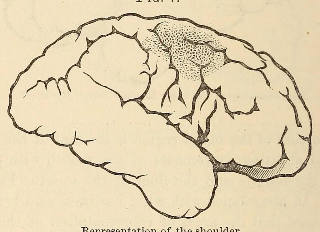 An illustration from The American journal of the medical sciences, 1827, leaf 420