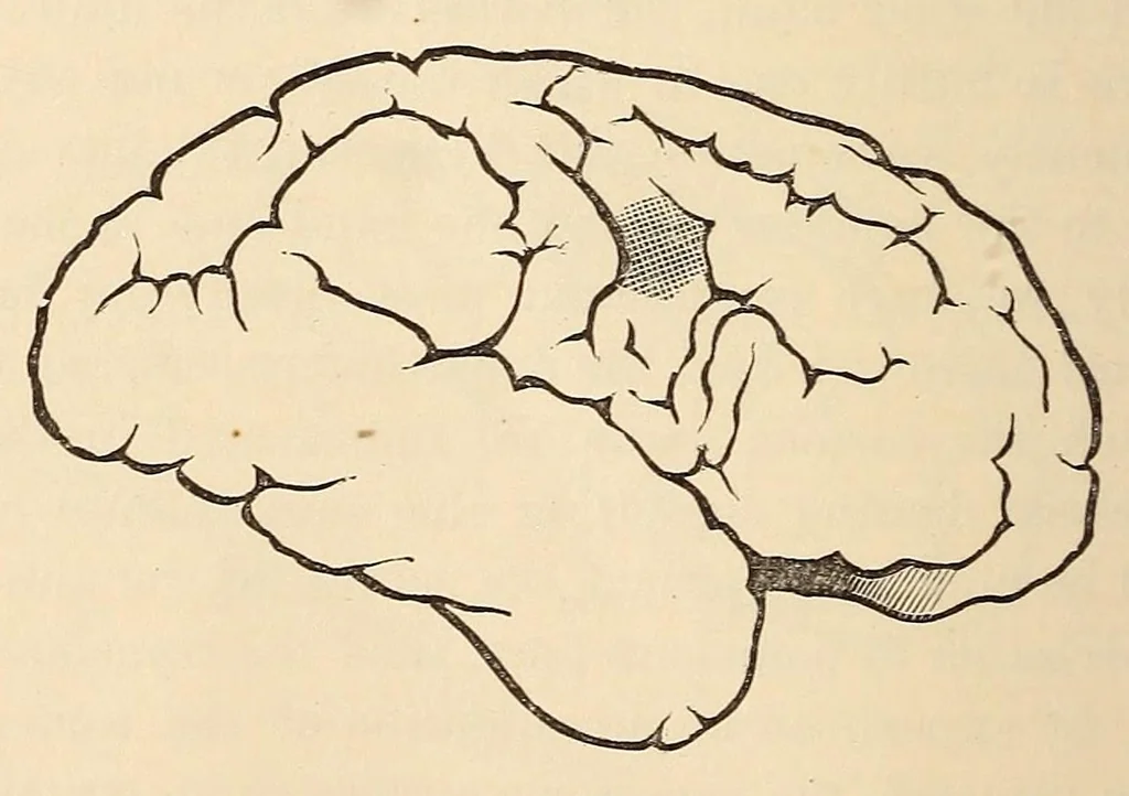 An illustration from The American journal of the medical sciences, 1827, leaf 422