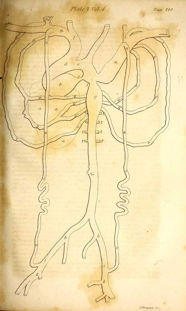 An illustration from The American journal of the medical sciences, 1827, leaf 219