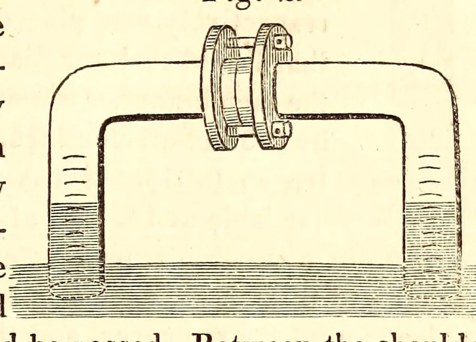An illustration from The American journal of the medical sciences, 1827, leaf 107