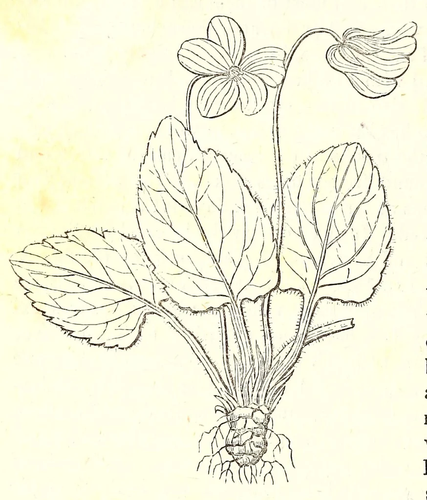 An illustration from The American journal of the medical sciences, 1827, leaf 312