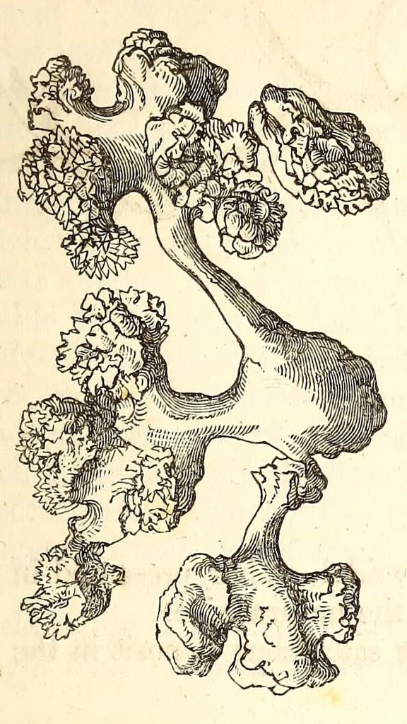 An illustration from The American journal of the medical sciences, 1827, leaf 129