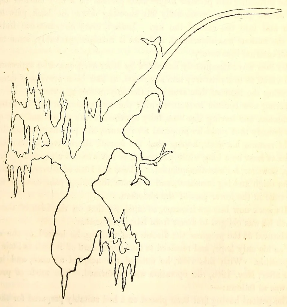 An illustration from The American journal of the medical sciences, 1827, leaf 101