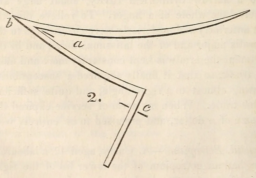 An illustration from The American journal of the medical sciences, 1827, leaf 110