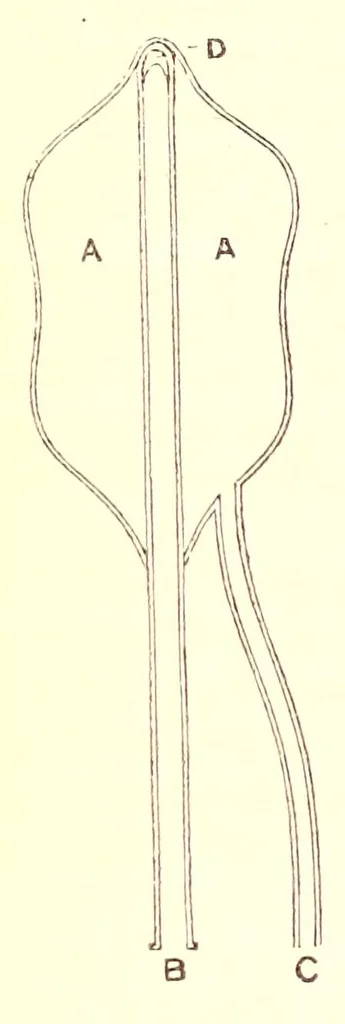 An illustration from The American journal of the medical sciences, 1827, leaf 280