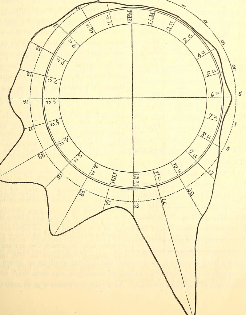 An illustration from The American journal of the medical sciences, 1827, leaf 307