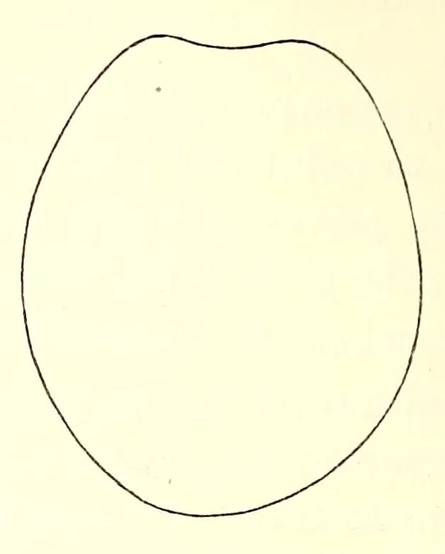 An illustration from The American journal of the medical sciences, 1827, leaf 74