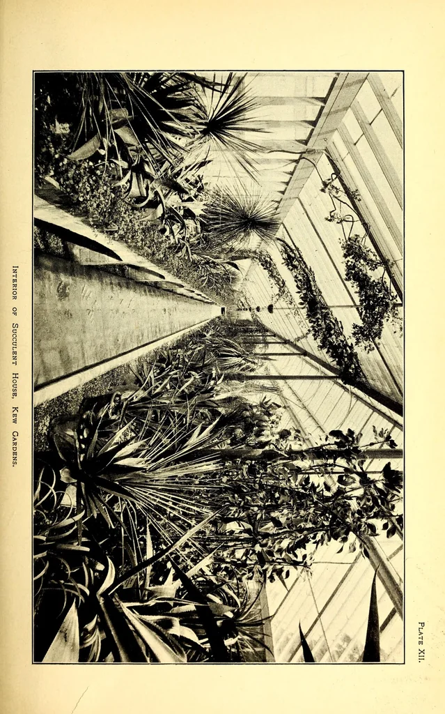 An illustration from American journal of pharmacy, 1835, leaf 17