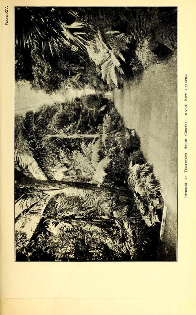 An illustration from American journal of pharmacy, 1835, leaf 25
