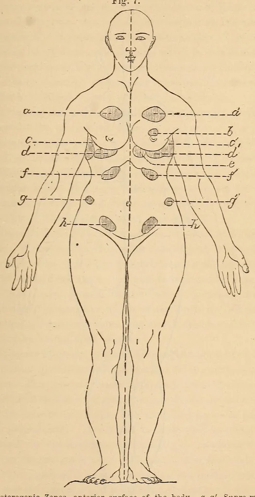 An illustration from The American journal of the medical sciences, 1827, leaf 401