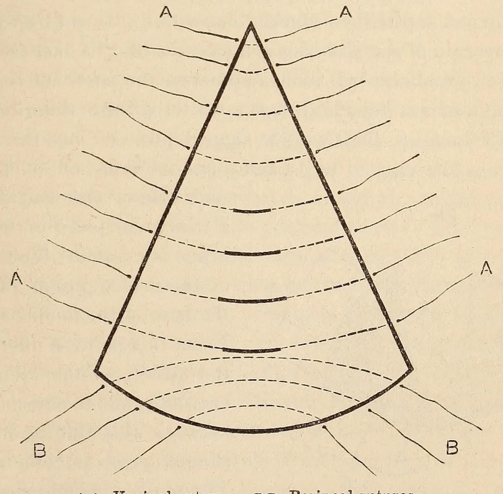 An illustration from The American journal of the medical sciences, 1827, leaf 51