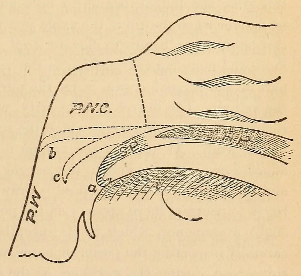 An illustration from The American journal of the medical sciences, 1827, leaf 401