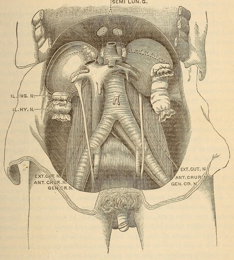 An illustration from The American journal of the medical sciences, 1827, leaf 405
