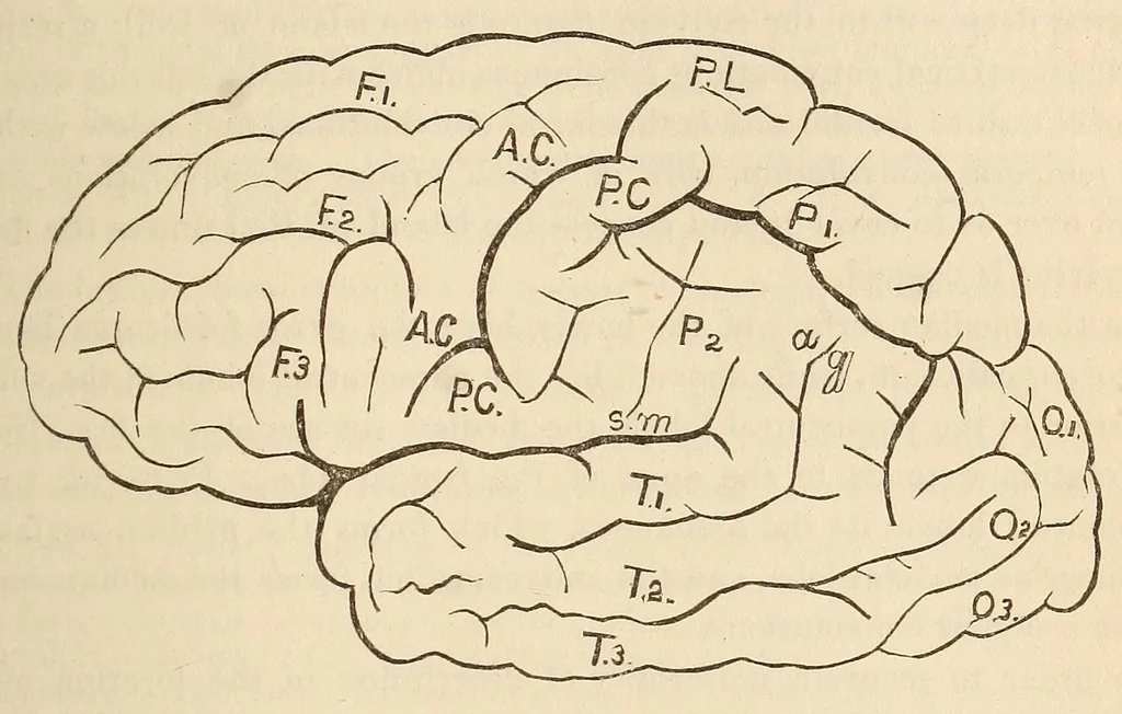 An illustration from The American journal of the medical sciences, 1827, leaf 369