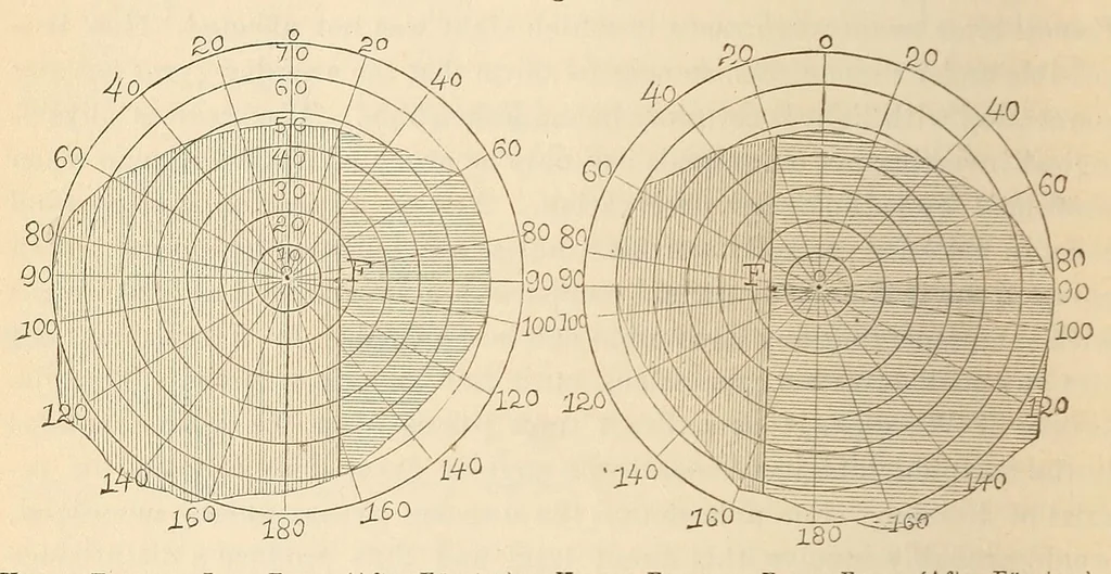 An illustration from The American journal of the medical sciences, 1827, leaf 84