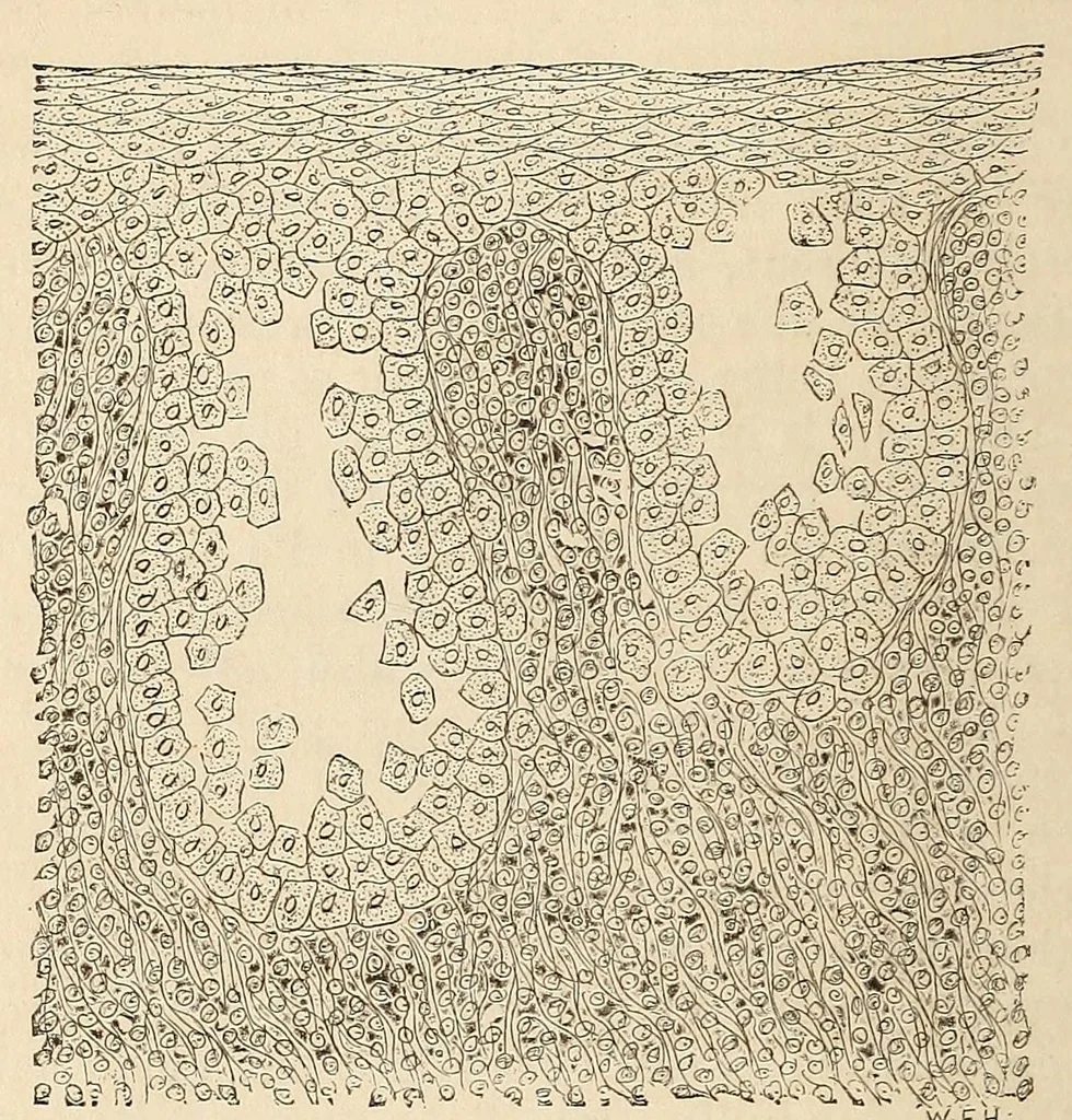 An illustration from The American journal of the medical sciences, 1827, leaf 152