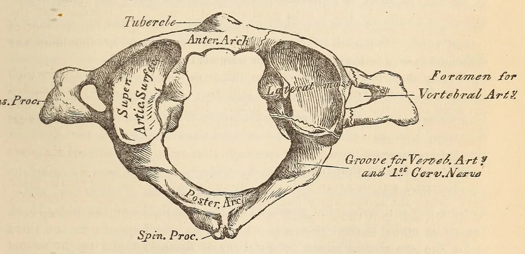 An illustration from The American journal of the medical sciences, 1827, leaf 443