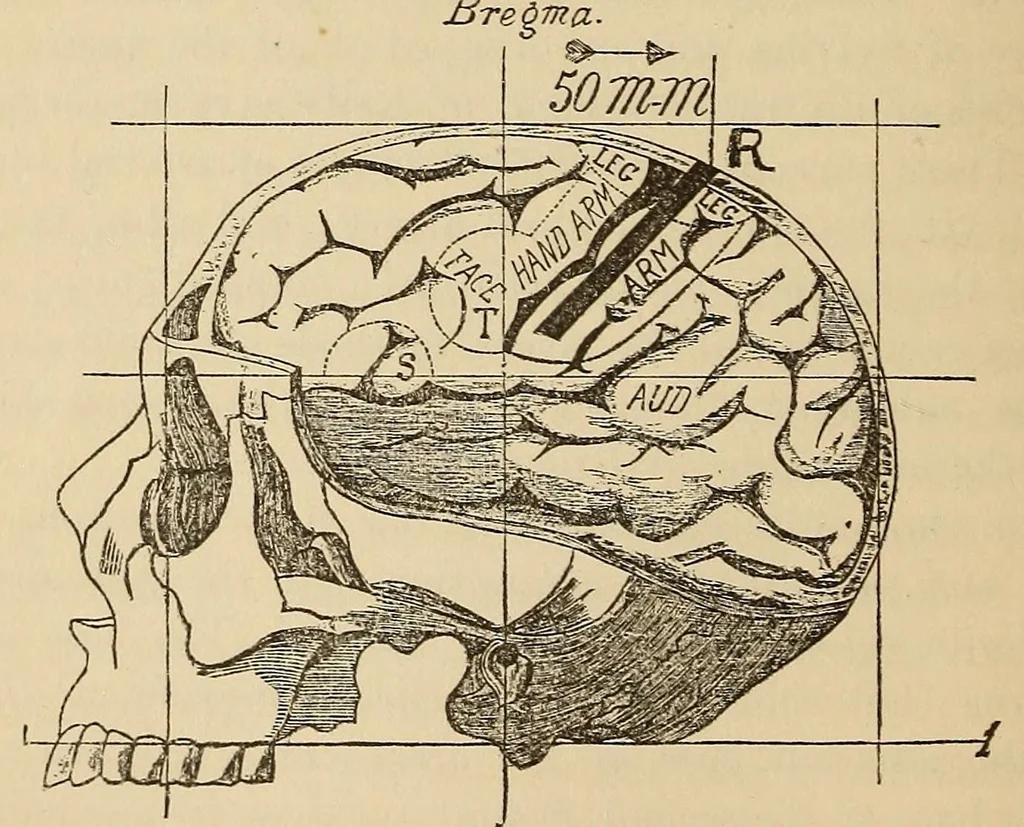 An illustration from The American journal of the medical sciences, 1827, leaf 162