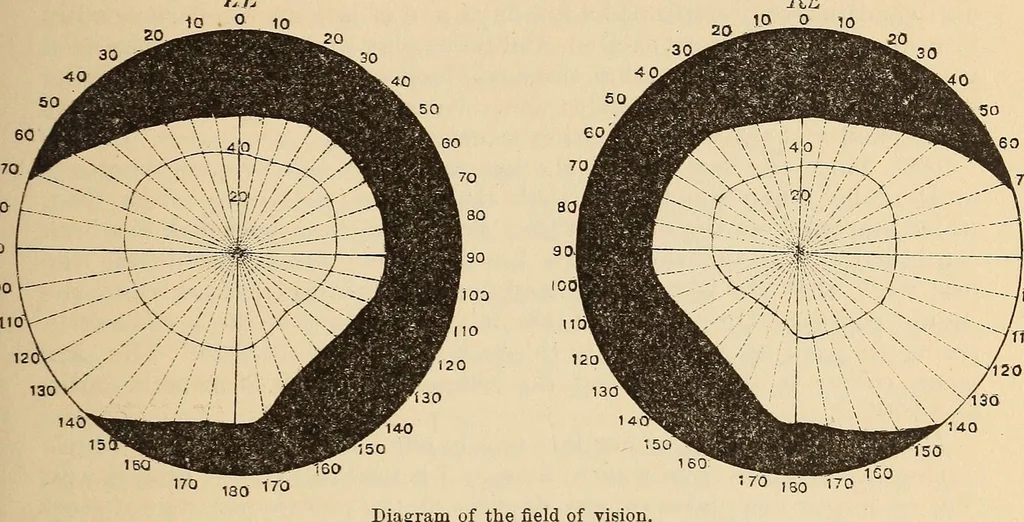 An illustration from The American journal of the medical sciences, 1827, leaf 29