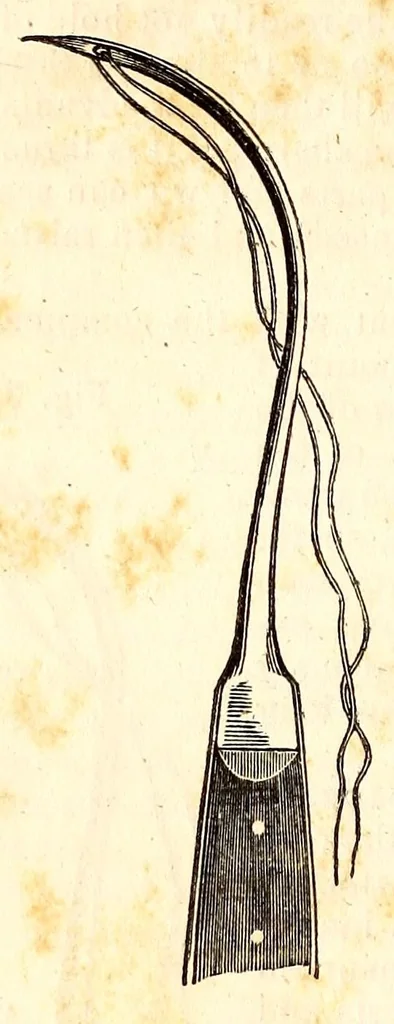 An illustration from The American journal of the medical sciences, 1827, leaf 414