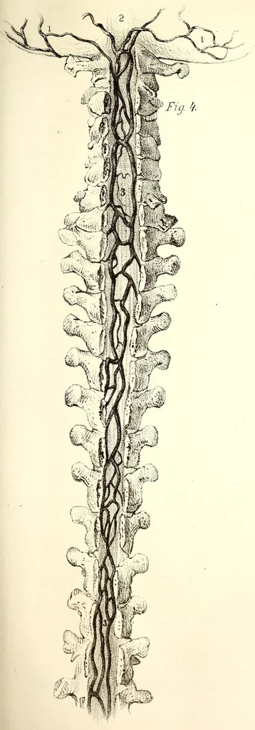 An illustration from The American journal of the medical sciences, 1827, leaf 379