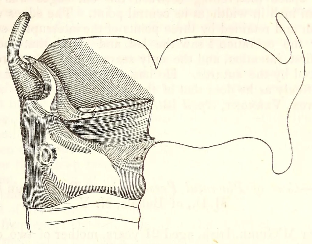 An illustration from The American journal of the medical sciences, 1827, leaf 151
