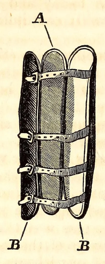 An illustration from The American journal of the medical sciences, 1827, leaf 106