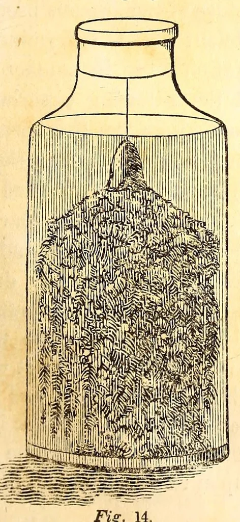 An illustration from The American journal of the medical sciences, 1827, leaf 295