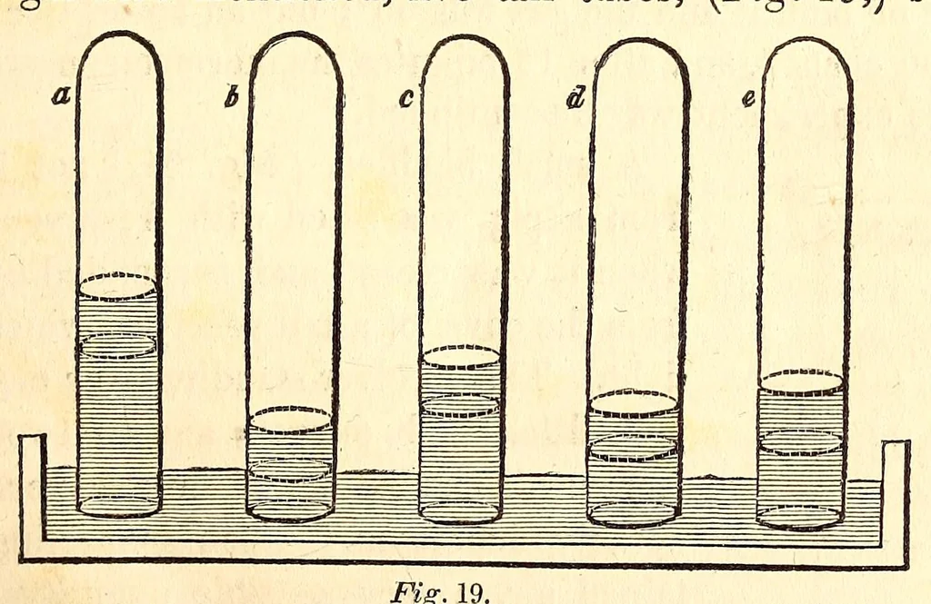 An illustration from The American journal of the medical sciences, 1827, leaf 299