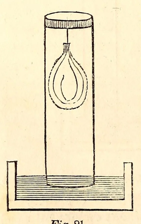 An illustration from The American journal of the medical sciences, 1827, leaf 300